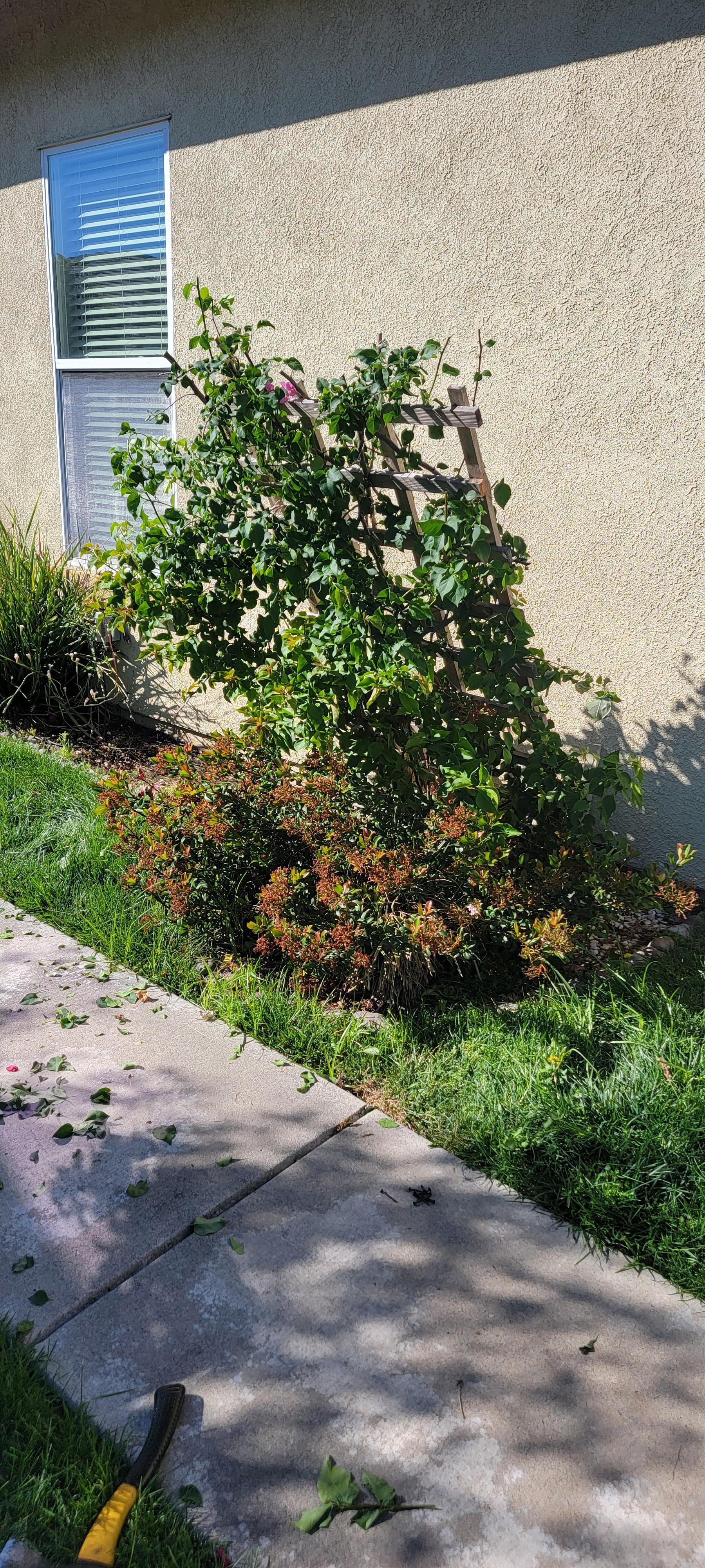 Handyman project in Elverta CA — TaskForge Handyman