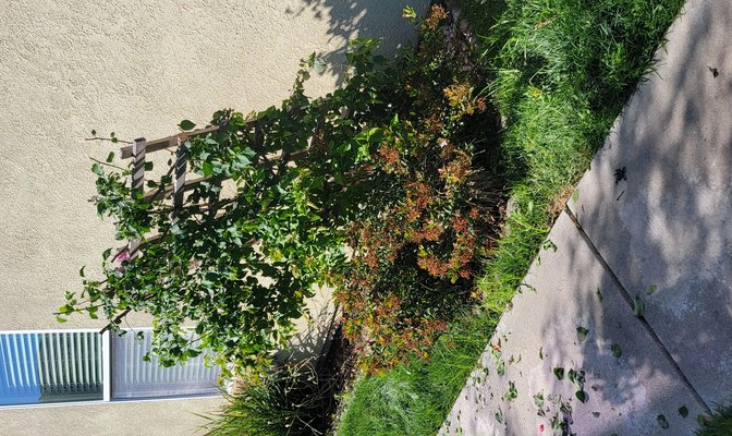 Handyman project in Sacramento (Foothill Farms) CA — TaskForge Handyman